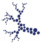 PRAXIS AM HINDENBURGPLATZ Logo